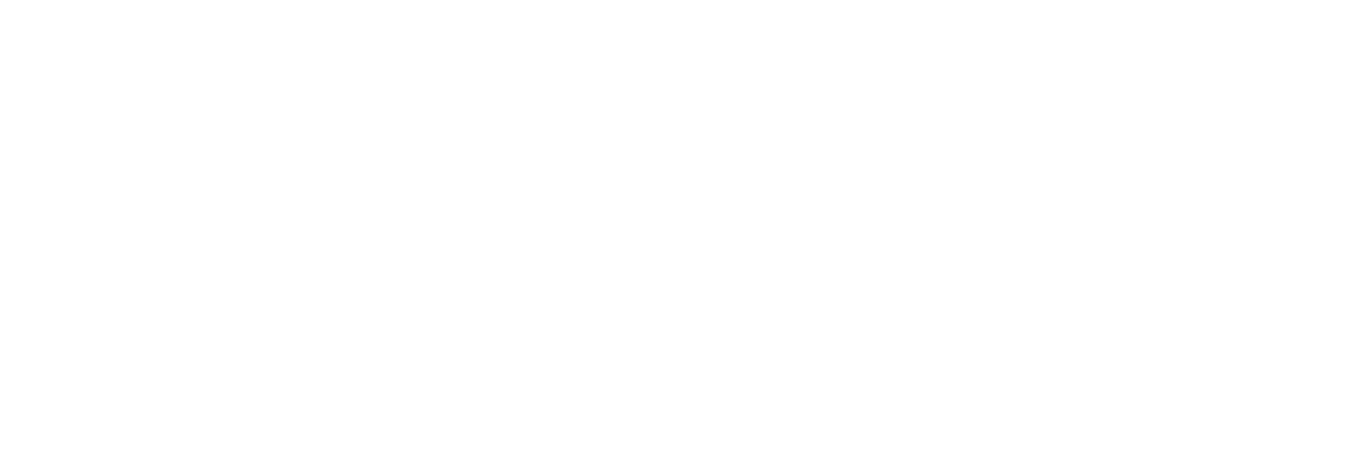 NZ Centre for Digital Excellence
